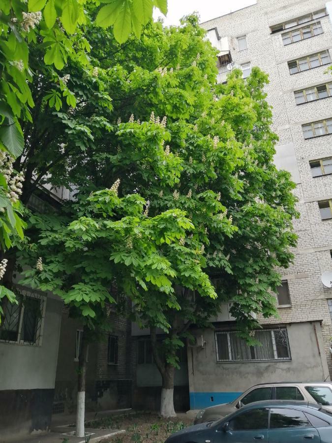 Apartments near the sea Odessa Buitenkant foto